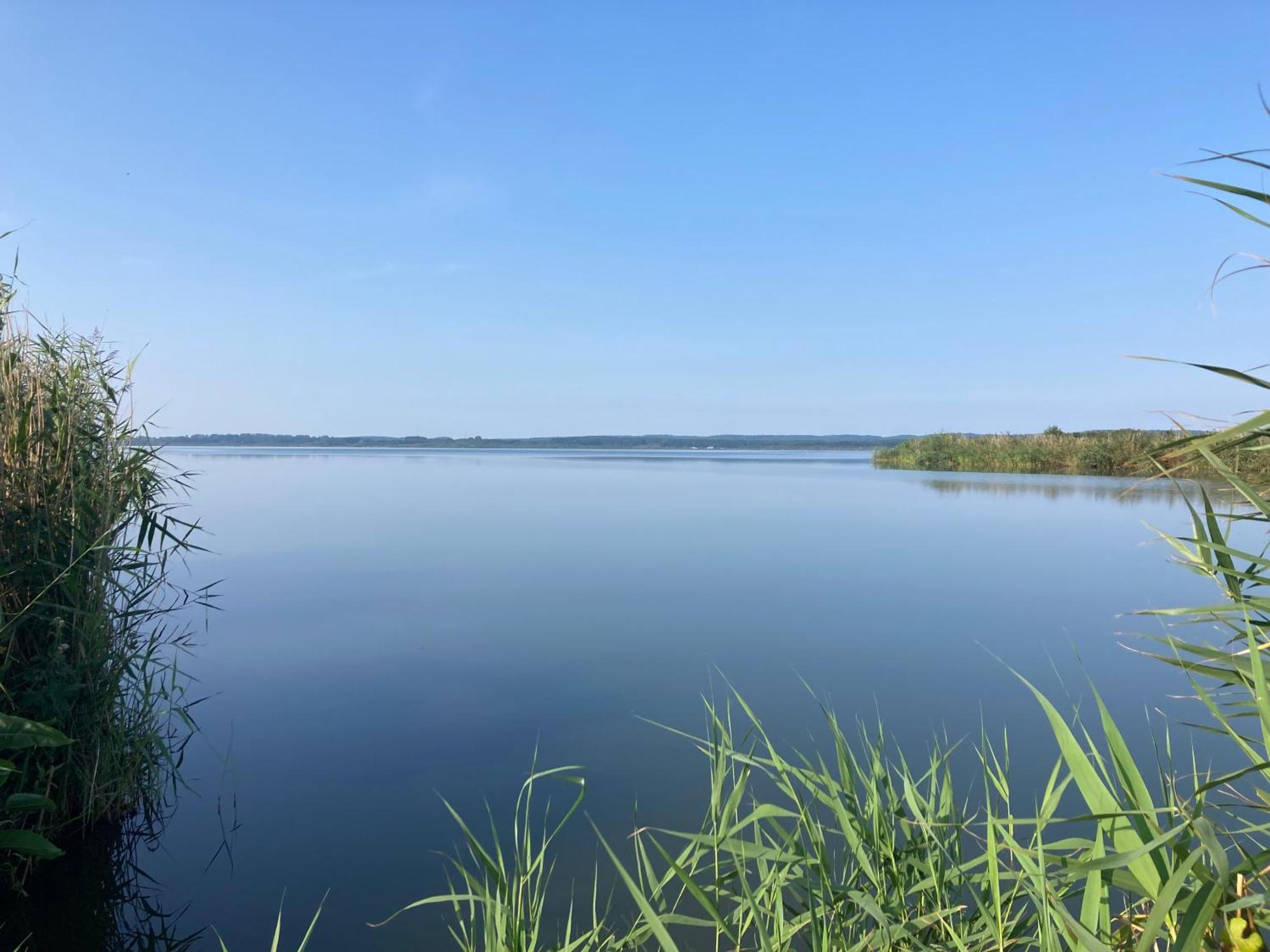 Nowe Apartamenty Ostoja - Nad Baltykiem - Cisza I Piekno Natury Zastan Esterno foto