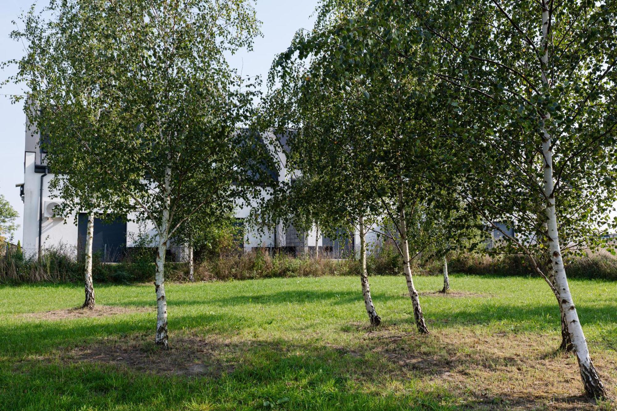 Nowe Apartamenty Ostoja - Nad Baltykiem - Cisza I Piekno Natury Zastan Esterno foto